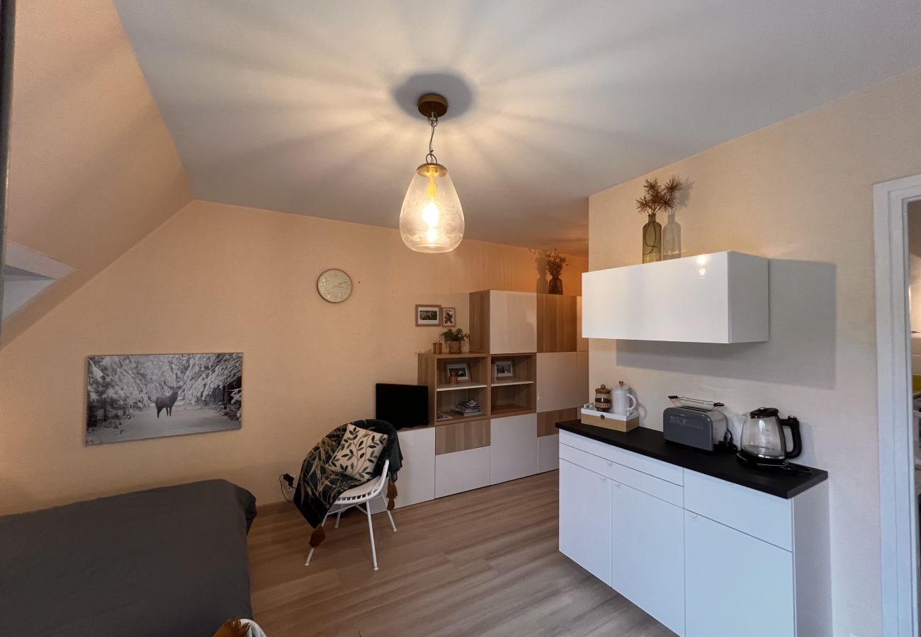 Studio à Aix-les-Bains - Belle vue