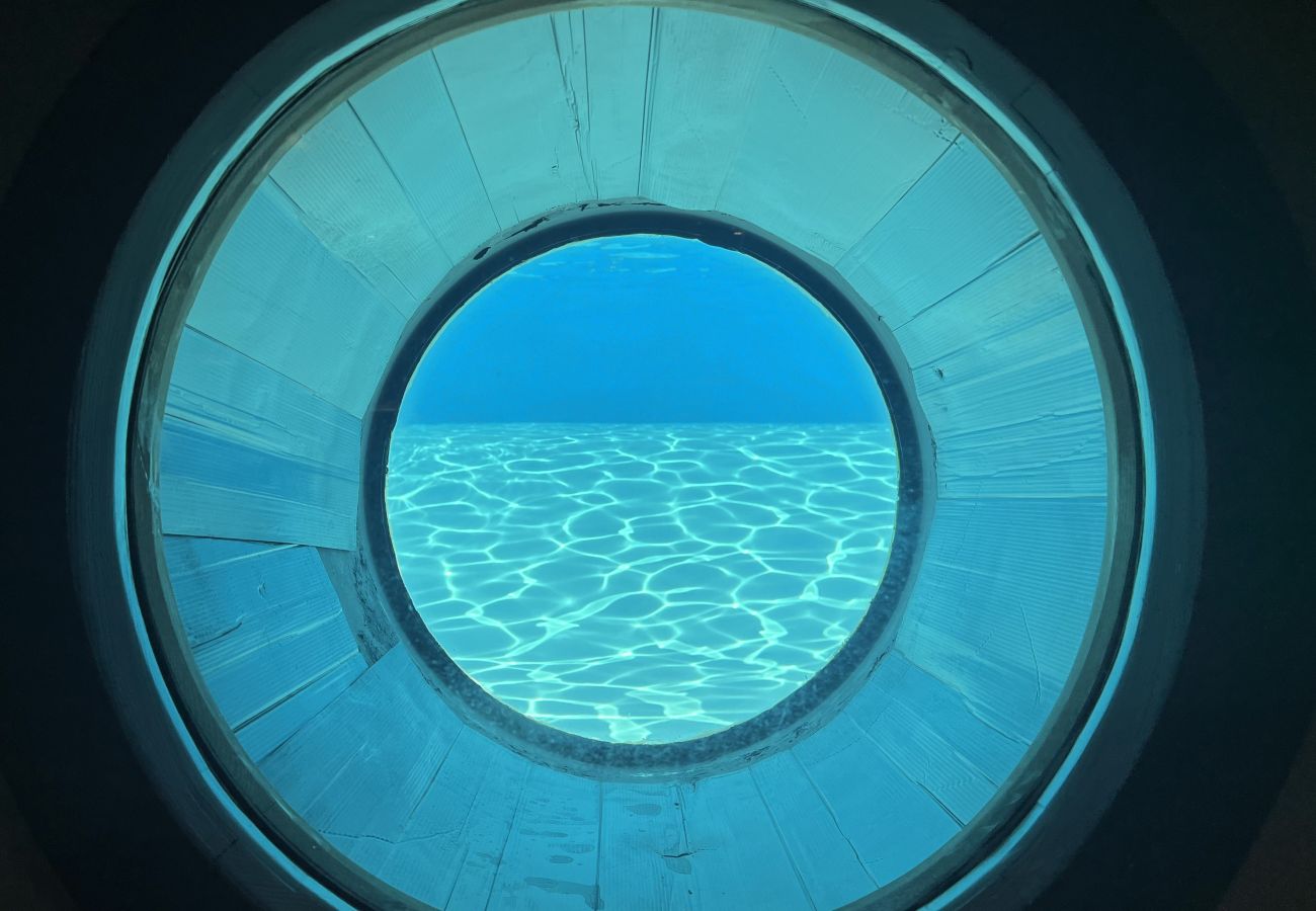 Appartement à La Plagne-Tarentaise - Neiges & Piscine