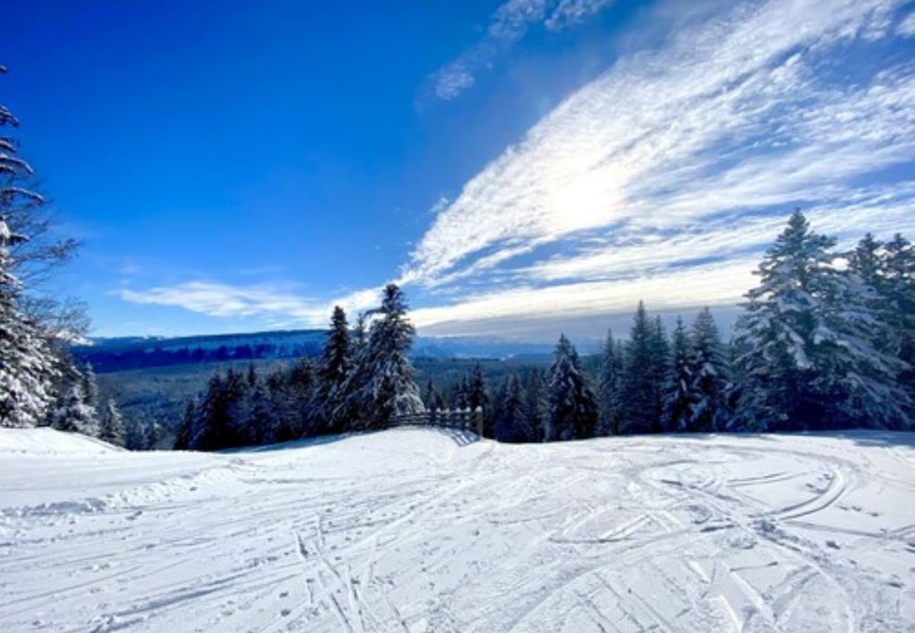 Chalet à Montcel - Le Revard - Chalet Cosy