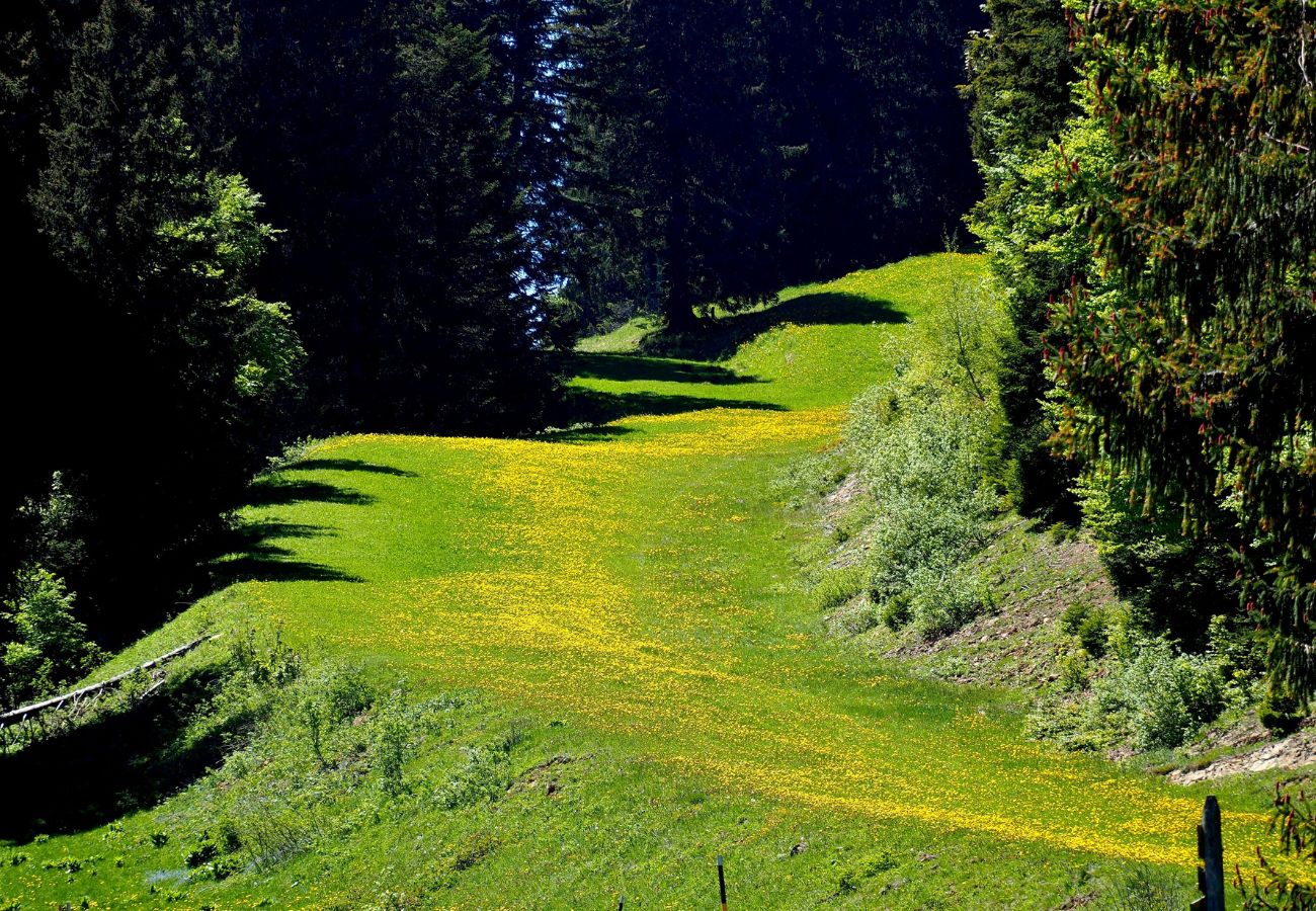 Chalet à Montcel - Le Revard - Chalet Cosy