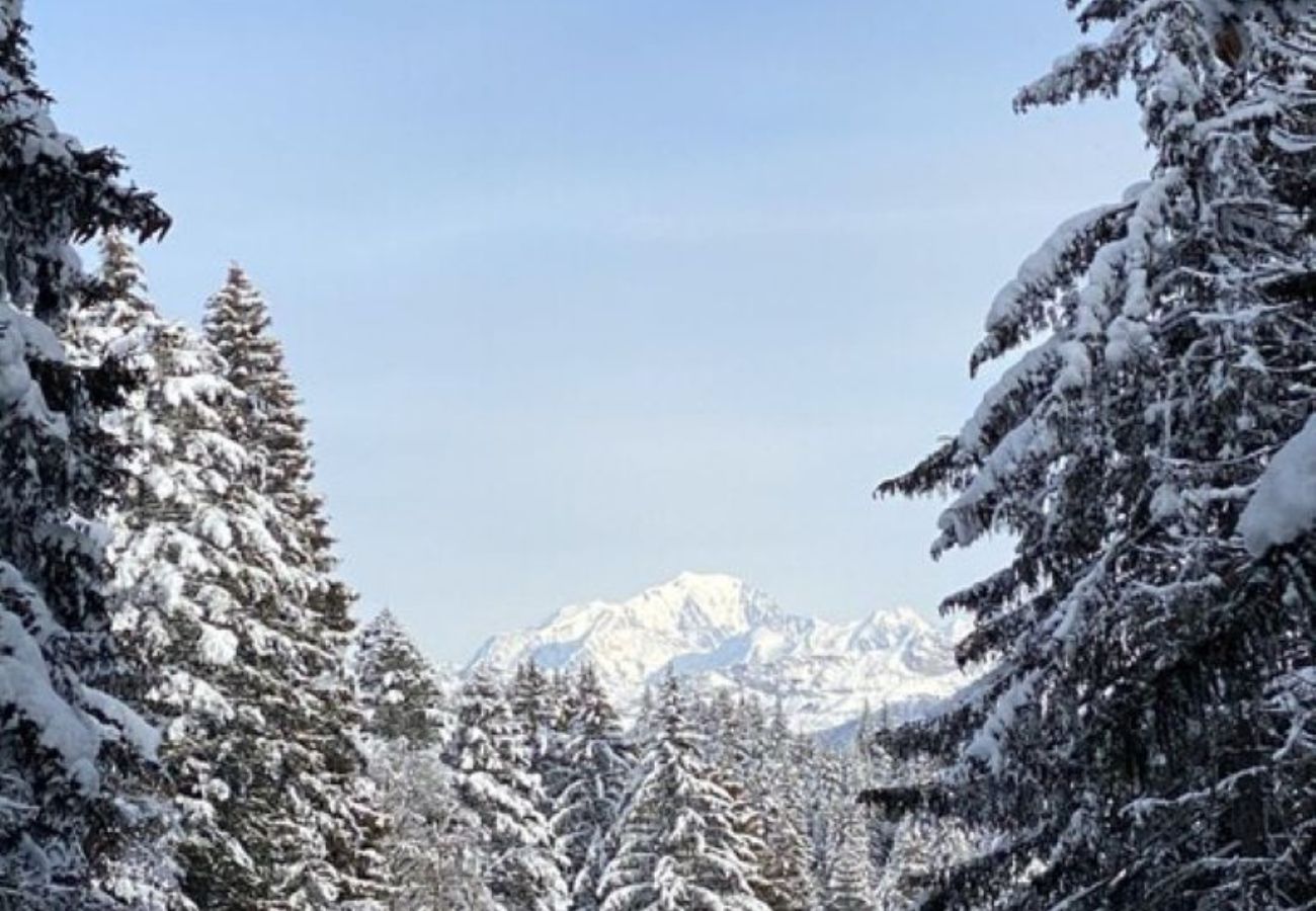 Chalet à Montcel - Le Revard - Chalet Cosy