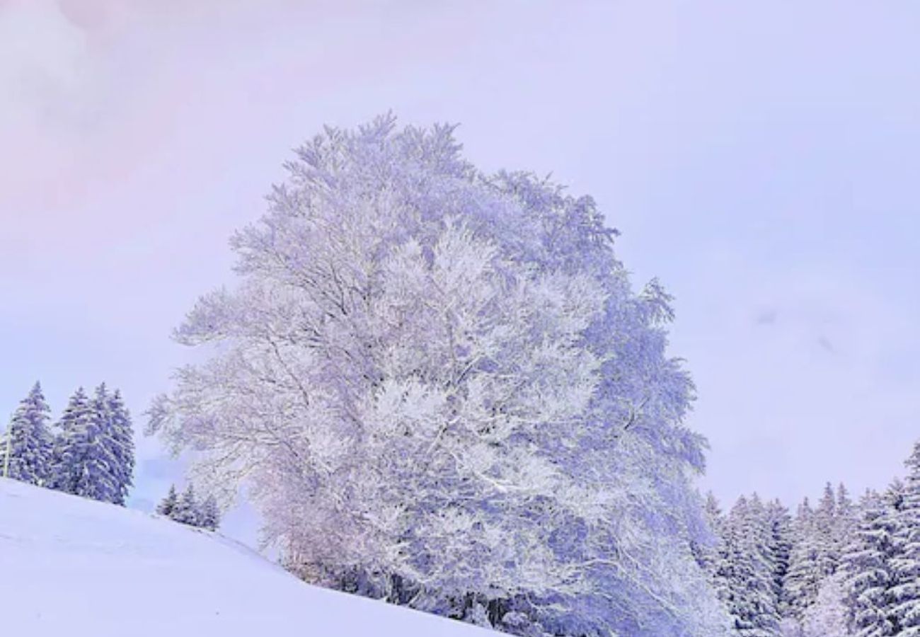 Chalet à Montcel - Le Revard - Chalet Cosy